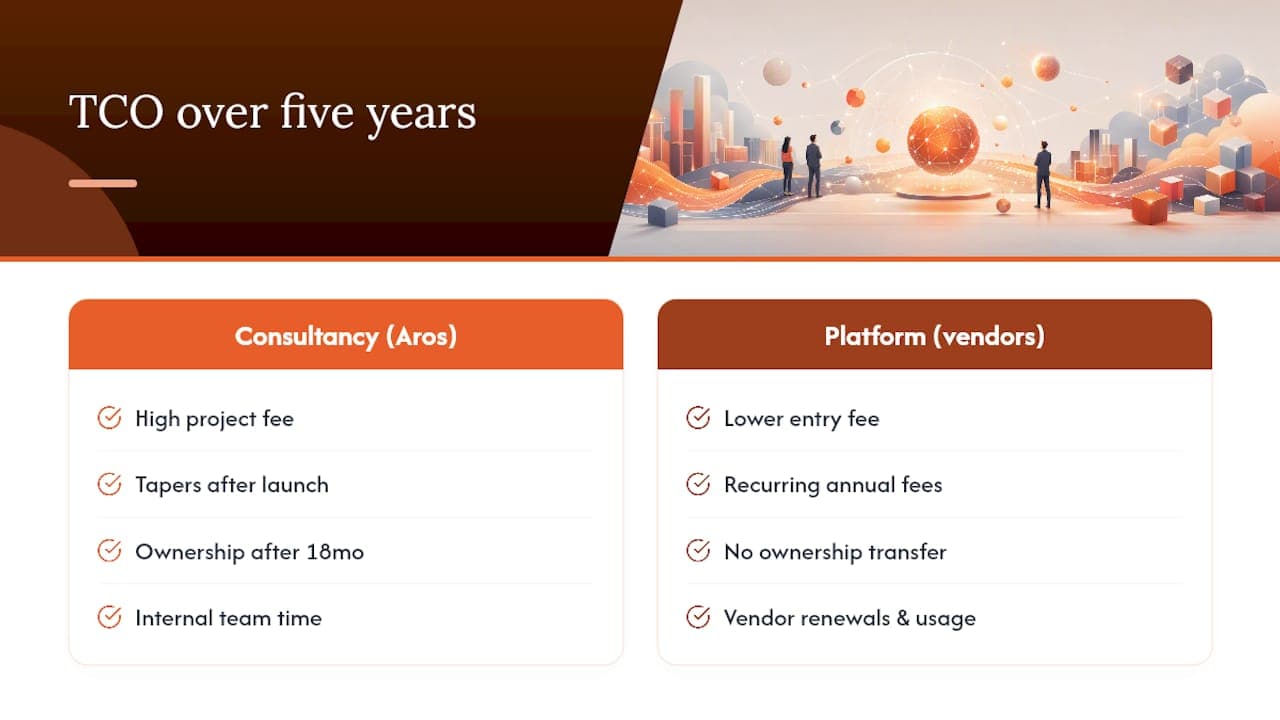 Cost comparison of consultancy and platform AI models over time